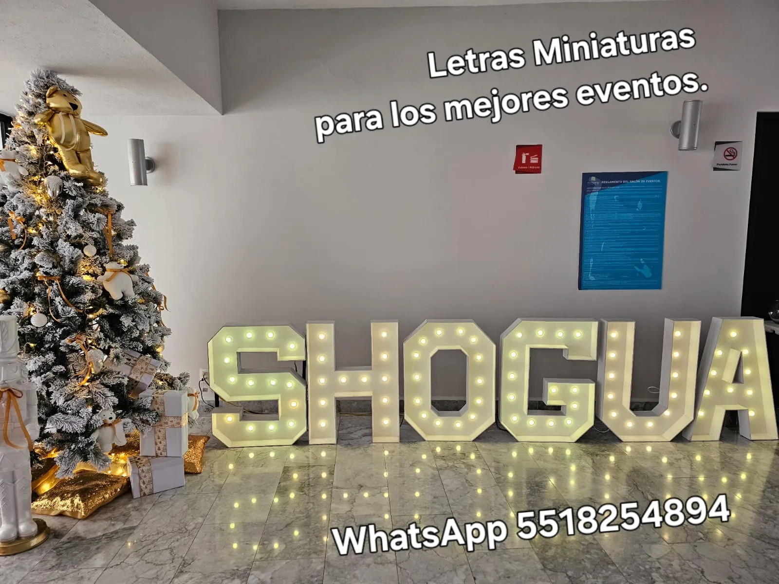Renta de letras gigantes para eventos: Letras luminosas shogua evento navideno
